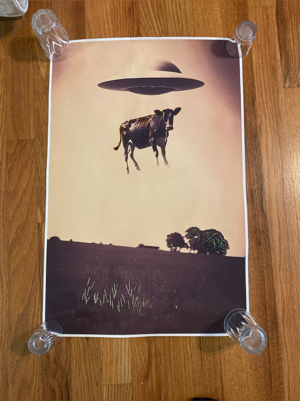 New canvas UFO cow hand embroidered accents poster size